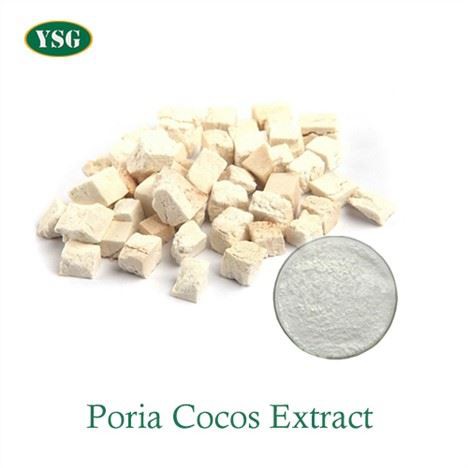 Extrato de Poria Cocos