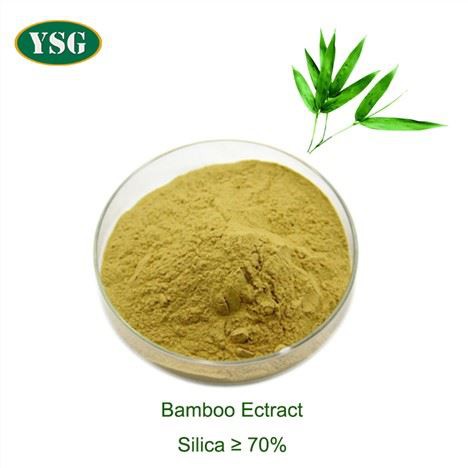 Extrato de Bambu Orgânico em Pó