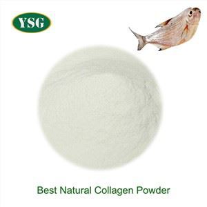 Melhor pó de colágeno natural