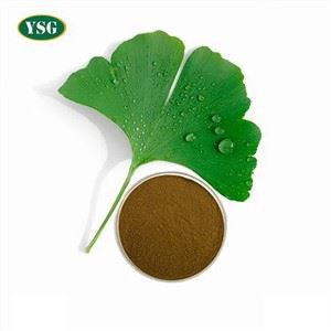 Pó de extrato de Ginkgo Biloba