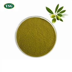 Extrato de Folha de Oliveira Olivus