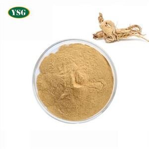 Extrato de raiz de Panax Ginseng
