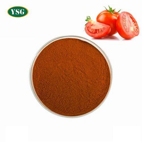 Extrato de Tomate Licopeno